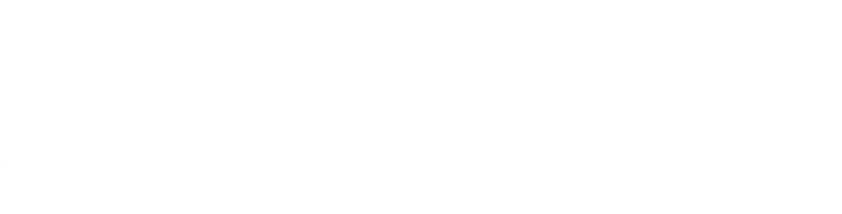FSI DDS — F‑DDH BOX